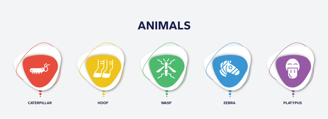 infographic element template with animals filled icons such as caterpillar, hoof, wasp, zebra, platypus vector.