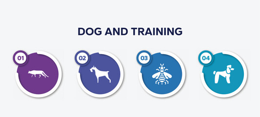 infographic element template with dog and training filled icons such as snowshoe cat, miniature schnauzer, bumblebee, poodle vector.