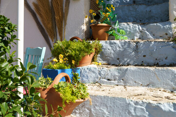 Design and decoration with flower plants in pots. Beautiful house exterior decor with summer flowers idea.