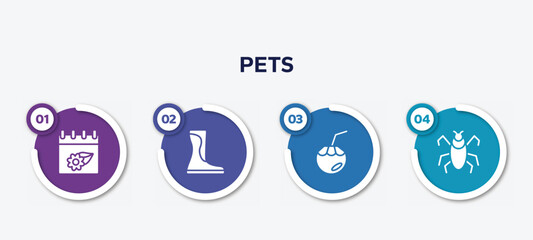 infographic element template with pets filled icons such as season, wellington, coconut water, insect vector.