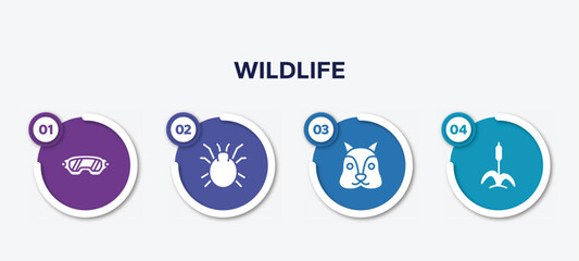 infographic element template with wildlife filled icons such as safety glasses, mite, squirrel, cattail vector.