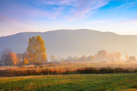 countryside scenery with fields and meadows. trees in colorful foliage. mountain in the distance on a hazy autumn morning