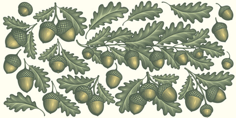 Oak branches and acorns. Design set. Editable hand drawn illustration. Vector vintage engraving. Isolated on light background. 8 eps - 544293242
