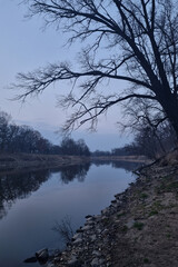 A mystical dark morning on the banks of the river in autumn or spring.