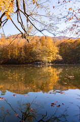 Beautiful fall scene in the forest: Autumn nature reflection on blue lake. Vivid morning in colorful park with branches of trees. sunlight and colorful leaves. Yedigoller National Park, Bolu Turkey