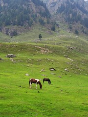Tarsar Marsar, Kashmir