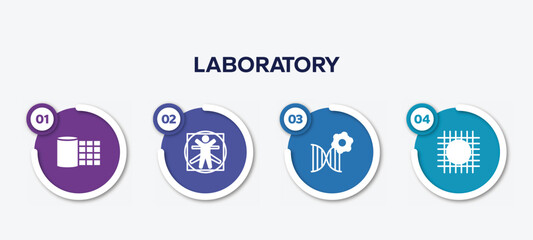 infographic element template with laboratory filled icons such as gauze, vitruvian man, biotechnology, wire gauze vector.