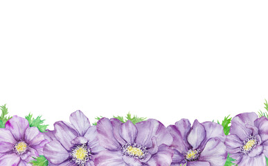 Watercolor hand drawn border of purple anemones with green leaves isolated on white background.