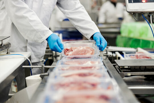 Hands of a meat factory worker gathering packed meat on a conveyor belt.