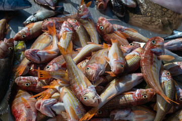 Fresh fish on italian street market.