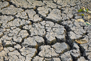 cracked soil