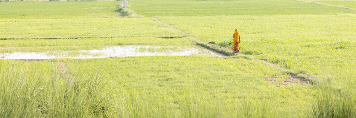 Mujer india con sari amarillo caminando entre cultivos