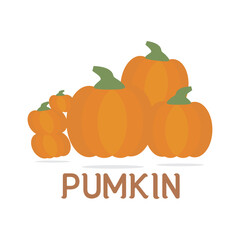 Pumpkin Orange Simple Design vector illustration