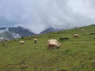 Fototapeta premium Tarsar Marsar , Kashmir