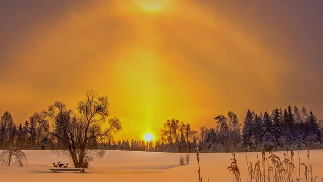 Soft golden glowing sunrise over a snowy meadow of snow and foliage - dreamy time lapse