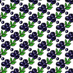 Seamless pattern with colored hand drawn bilberry. Suitable for packaging, wrappers, surface and fabric design. PNG illustration