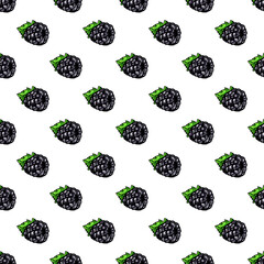 Seamless pattern with colored hand drawn blackberry. Suitable for packaging, wrappers, surface and fabric design. PNG illustration