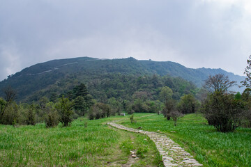 Road to the Mountain, A tiny path go through the green grass to the mountains