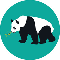 illustration Vector of panda bear