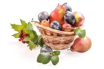 fruits and berries in a basket
