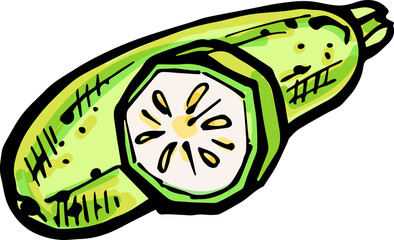 Hand drawn isolated ink zucchini. PNG colored illustration