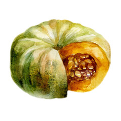 Watercolor illustration. Image of pumpkin. - 544311854