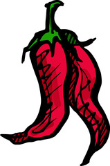 Hand drawn isolated ink chili pepper. PNG colored illustration