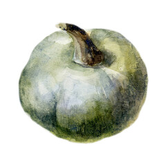 Watercolor illustration. Image of pumpkin. - 544311877