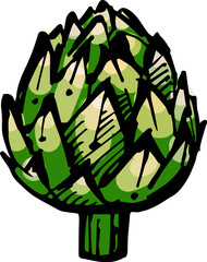 Hand drawn isolated ink artichoke. PNG colored illustration
