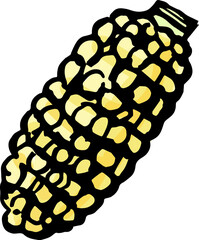 Hand drawn ink maize. PNG colored illustration
