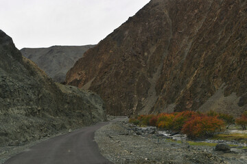 PANGONG TO TSOMORIRI via KAKSANG LA  HORA LA, Ladakh (India)