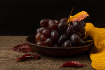 Grapes in a bowl. Still life with grapes.