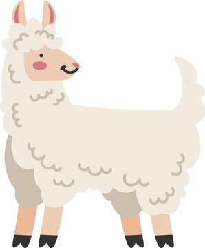 Funny Llama Alpaca icon. Vector illustration