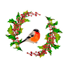 Bullfinch and mistletoe. Christmas. New Year. Winter. Watercolor illustration.
