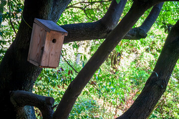 Grenoble France 11 2021 birdhouse in a tree
