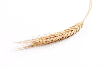 Ears of rye, wheat on table