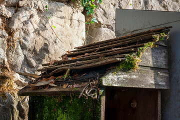 Uriage les Bains France 11 2022 old wooden prospectus box, damaged with moss