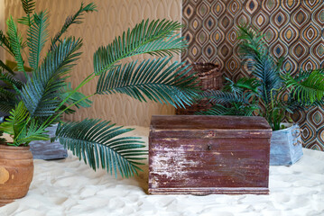 Room decorated in boho style with old chest, green tropical plants and sand on floor