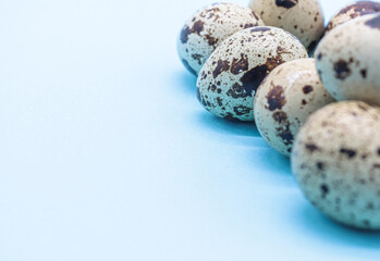 Obraz premium quail eggs on blue background