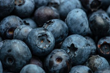 fresh organic blueberries background, Long banner format. top view