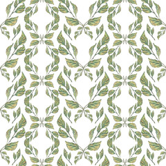 Leaves and branches of an apple tree, green in an ornament. Seamless pattern on a white background, simple. Watercolour. For textiles, clothing, fabrics, wallpaper, banners, paper, scrapbooking