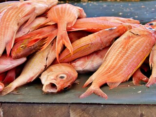 Frischer Fisch auf Fischmarkt