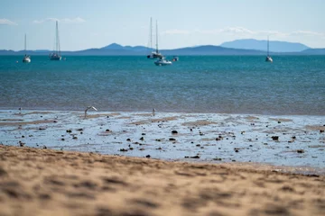 Crédence de cuisine en verre imprimé Whitehaven Beach, île de Whitsundays, Australie tourists on holiday at a tropical beach in the tropics with boats and yachts