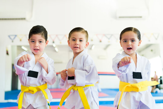 Happy kids learning martial arts