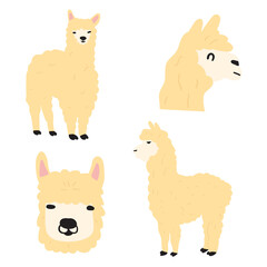 Alpaca. Animal. Set of flat hand drawn illustrations.