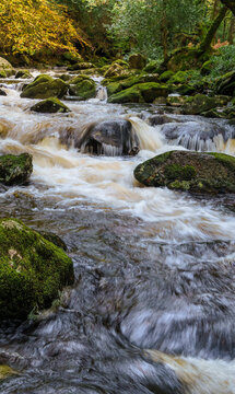 rRver Pym on Dartmoor