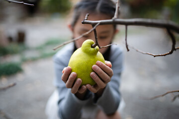 花梨の実に触る子供
