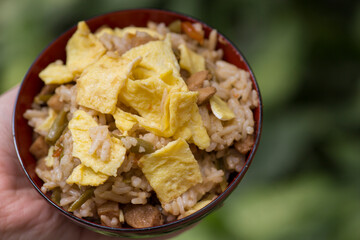 Maze gohan traditional japanese food fried rice with vegetables and egg