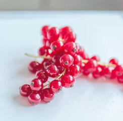 Group of red and wet currants on a white background