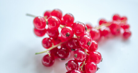 Group of red and wet currants on a white background